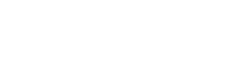 SH consulting white png